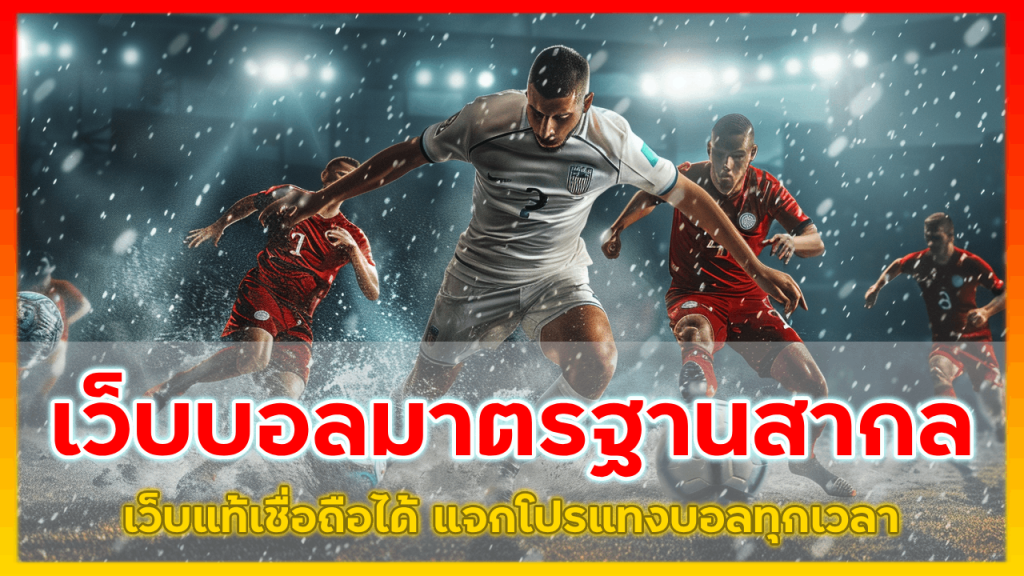 PGNINE8 เว็บแทงบอลมาตรฐานสากล